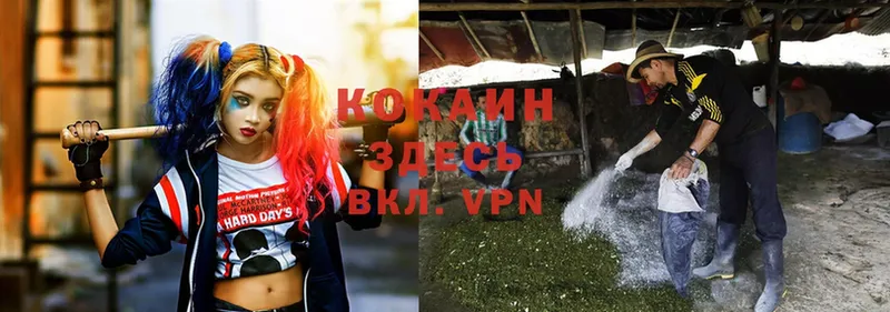 COCAIN VHQ  Козельск 