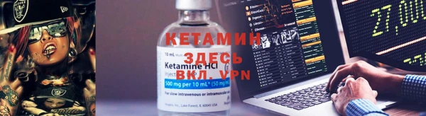 прущие грибы Иннополис