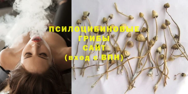 MDMA Зеленокумск