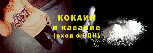 прущие грибы Иннополис