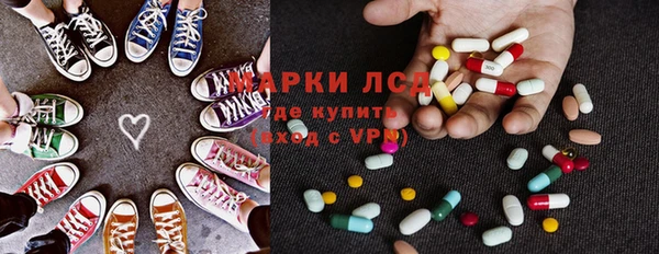 apvp Инта