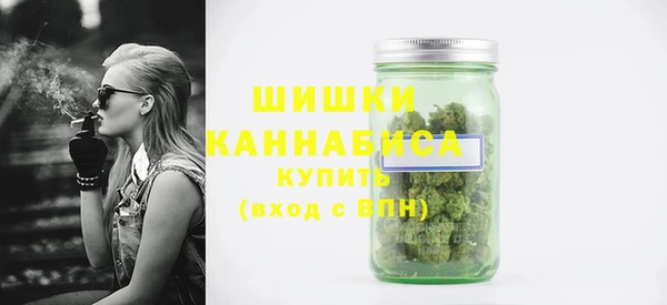прущие грибы Иннополис