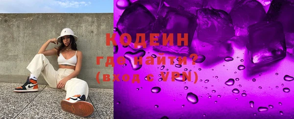 apvp Инта