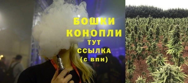 прущие грибы Иннополис