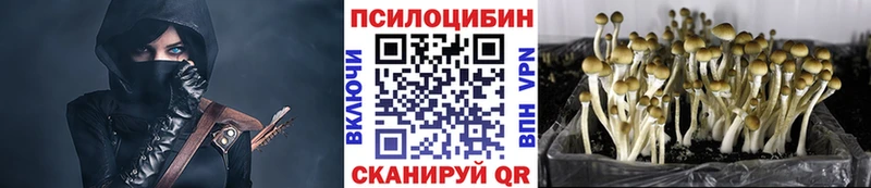 Псилоцибиновые грибы Psilocybe  Козельск 